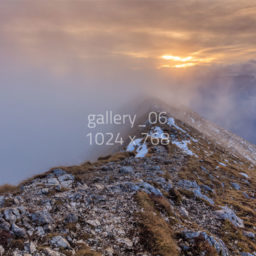 ALT immagine galleria 06